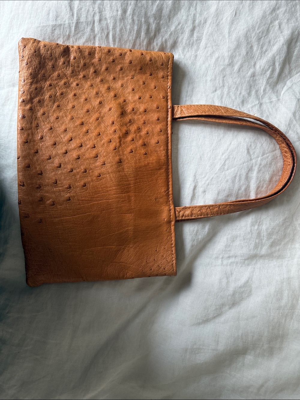 Ostrich leather hand bag suede interior South Africa